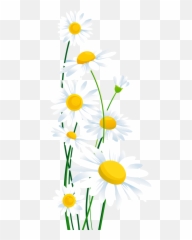 Library Of White Flower Png Transparent Stock Transparent - Spring Transparent Background Flowers Clipart Emoji,Emojis With Flowers In Beach Background