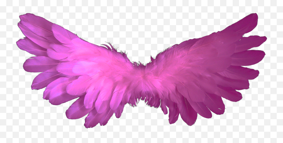 Fluffy Pink Wings Free Image - Transparent Pink Angel Wings Png Emoji,Emotions And Wings