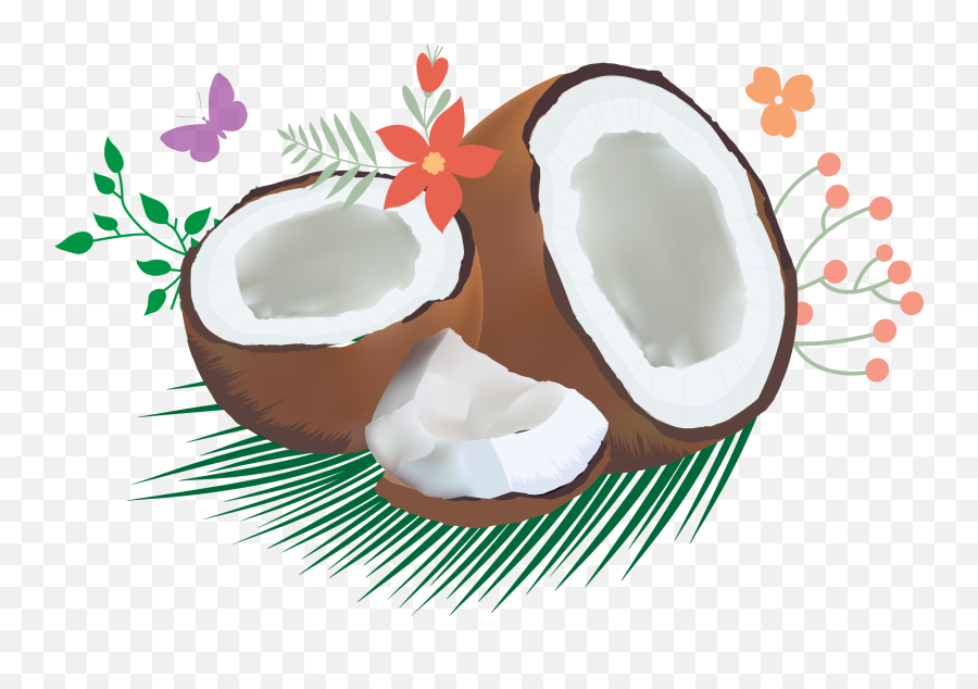 Coconut Clipart Coconut Oil Coconut - Virgin Coconut Oil Clipart Emoji,Coco Emoji Clip