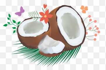 Coconut Clipart Coconut Oil Coconut - Virgin Coconut Oil Clipart Emoji,Coco Emoji Clip