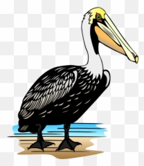 Pelicans With Mouth Open Cartoon - Pelican Clip Art Emoji,Pelican Emoji