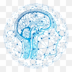 Common Brain Networks Underlie Neurological Symptoms - Neurished Artificial Intelligence Transparent Png Emoji,Brain Emotions Visual