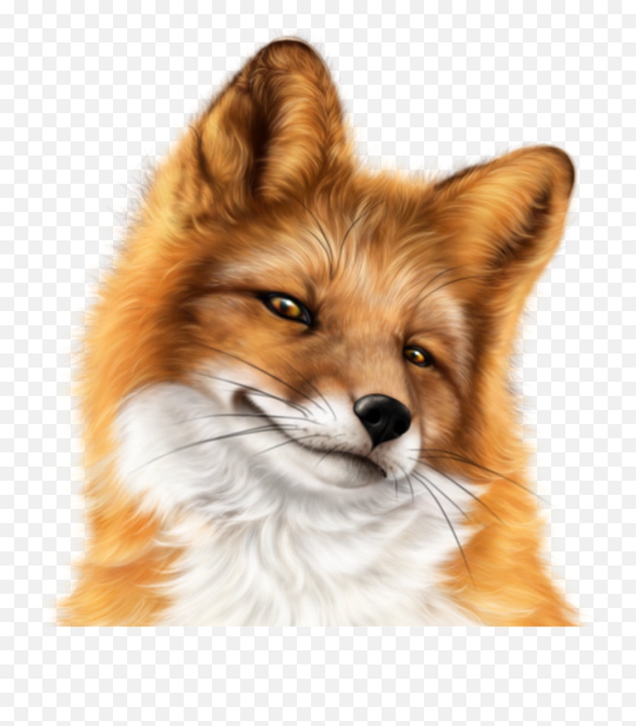 Snarky - Fox Face Png Emoji,Fox Face Emoji
