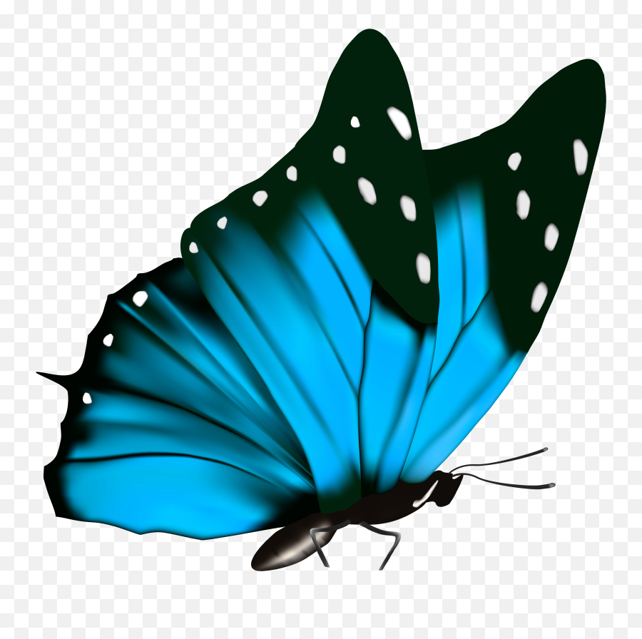 Butterfly Emoji Transparent Background - Blue Butterfly Png Transparent,Over Lays Emojis