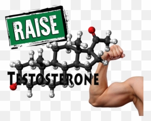 Biggamer U2013 Testosterone And Body Building - Sesamstraße Emoji,Emotions Hgh Note