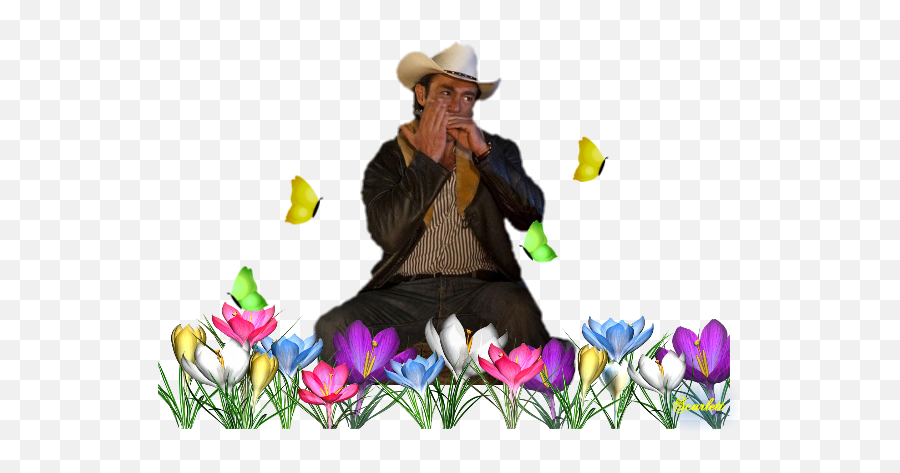Foro - Costume Hat Emoji,Emoticon Bellaco