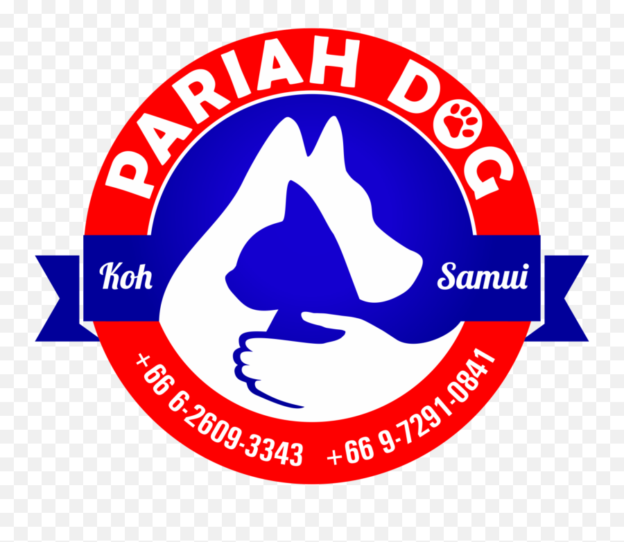 Volunteer Pariah Dog - Pariah Dogs Koh Samui Emoji,Motor Volunter Emotion