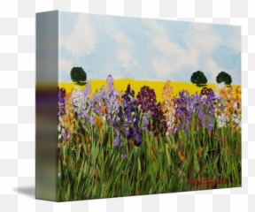 Looking To The Sky By Allan P Friedlander - Picture Frame Emoji,Art Representing Emotions