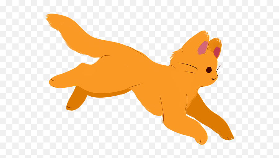 Free Photo Jump Ginger Cat Excited Cat Cute Feline Play - Cat Jump Cartoon Emoji,Warrior Cats Emotions