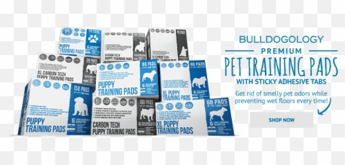 How To Potty Train A Puppy Using Effective Housebreaking - Language Emoji,Dog Showing Emotion Tumblr