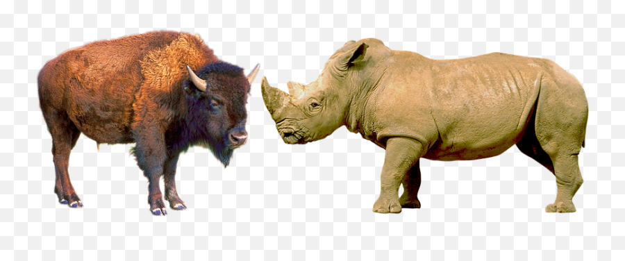 Free Horny Sex Photos - Bison Rhino Emoji,Horny Emotions