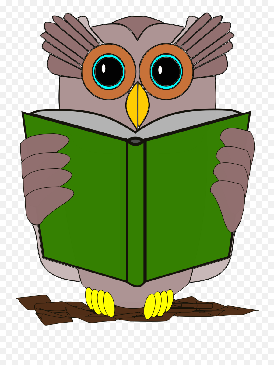 Owl Book Review Reading Bird - Book Clipart Full Size Gif Owl Png Emoji,Owl Emoji Apple