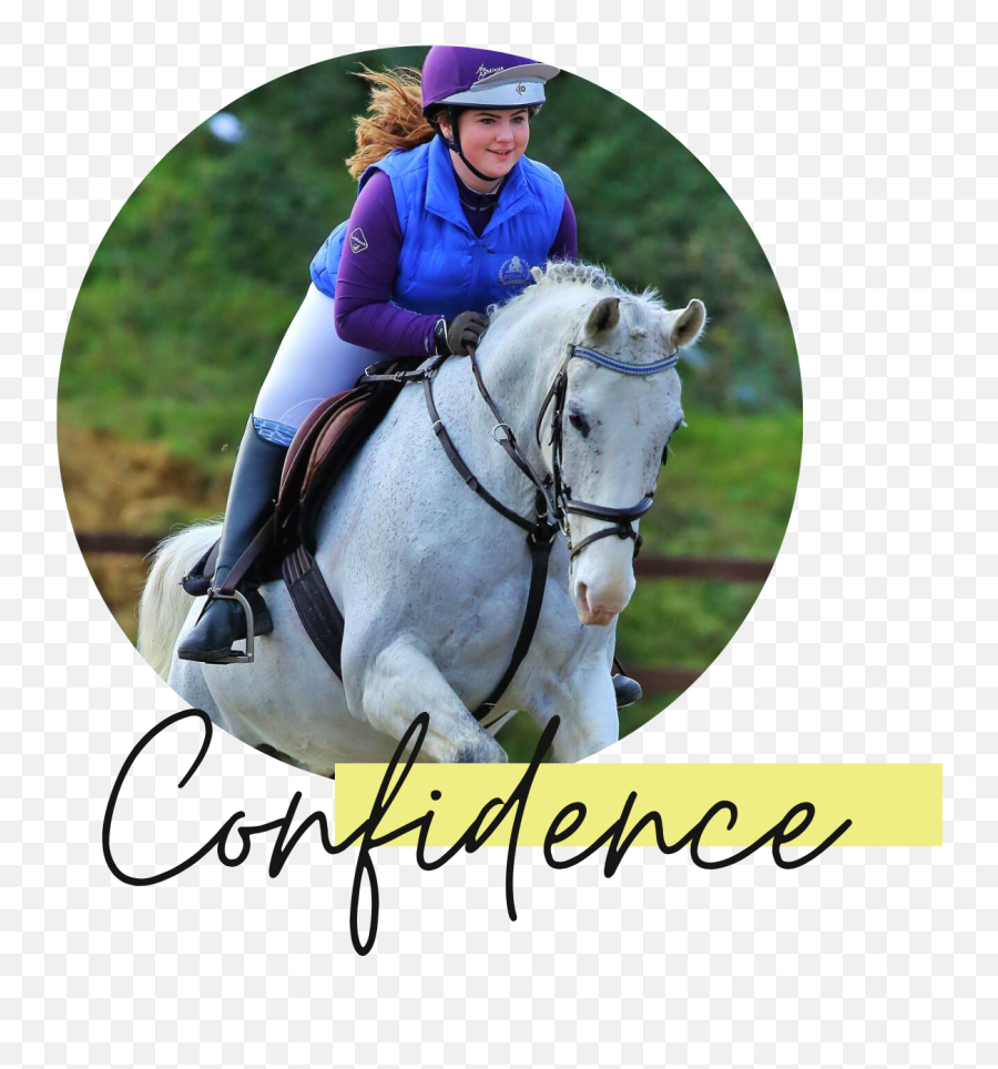 Positively Ponies Equine Assisted Learning For Young People - Bridle Emoji,Horse Emotions