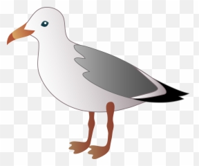 Pelican Clipart Seagull Pelican - Clip Art Seagull Emoji,Pelican Emoji