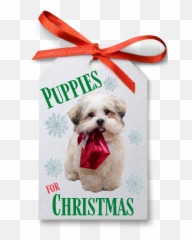 September 2020 - Gift For Myself Emoji,How Do You Text With Disney Emojis From Emoji Bilx