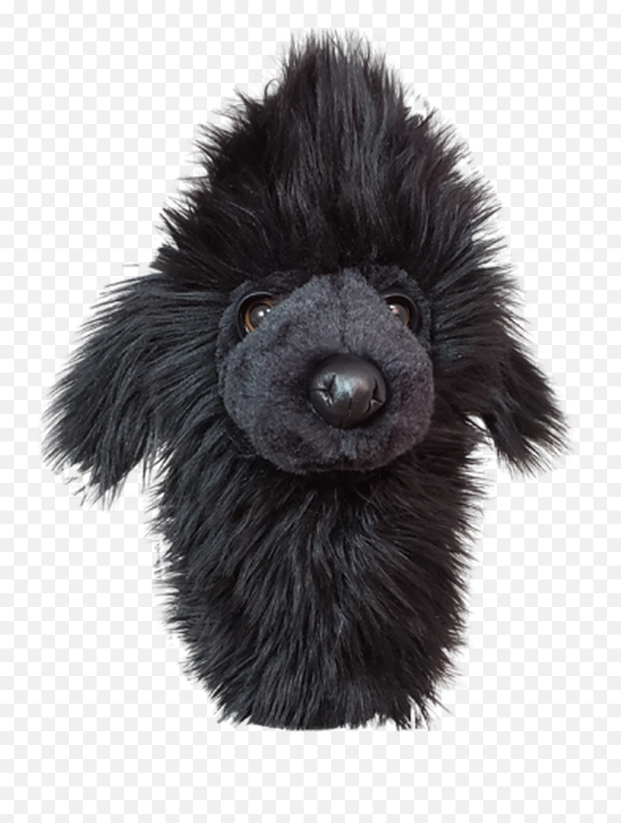 Daphneu0027s Headcovers - Black Poodle Hybrid Poodle Golf Club Cover Emoji,Happy Birthday Emoticons With Labrador Retriever