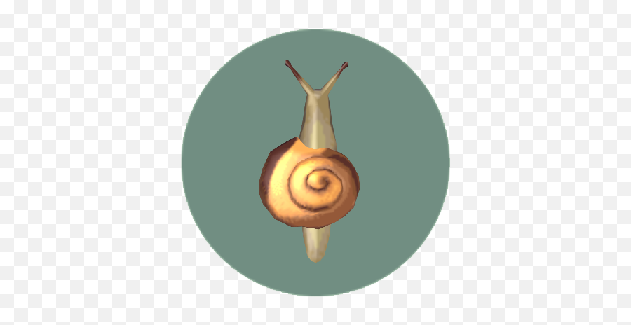 Snail - Animal Crossing Snail Emoji,Can Custom Emoticons Be Used In Escargot