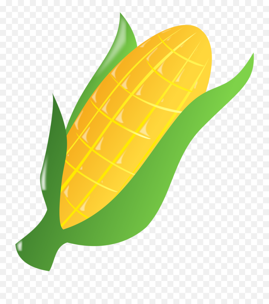 Corn On The Cob Drawing Png Pic - Corn Thanksgiving Clipart Emoji,What Is The Emoji Balloon+corn