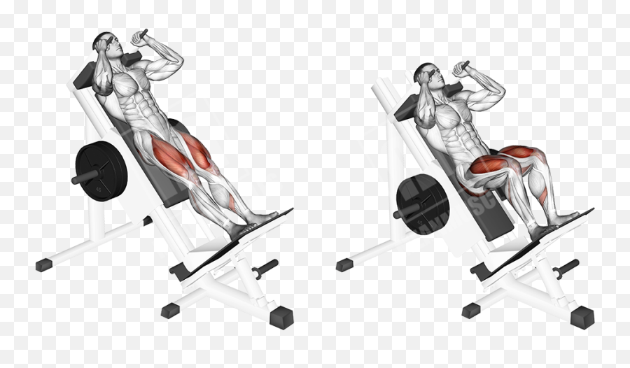 Thrust - Focused Glute Workout Meanmuscles Emoji,Glutes Emotions