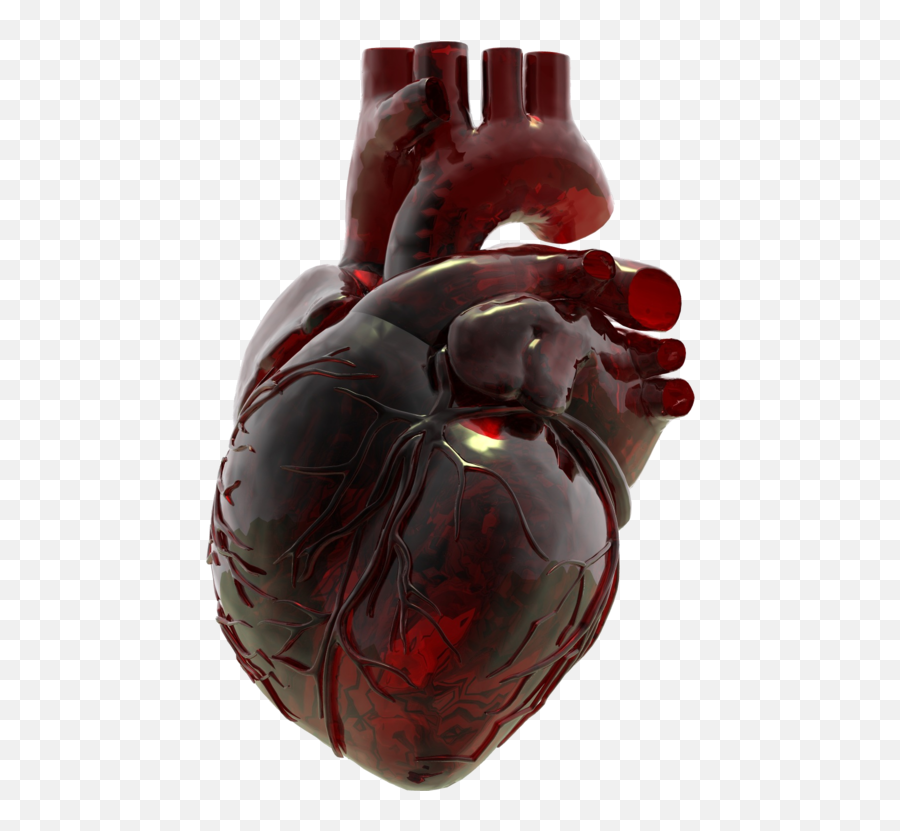 160 Quirky Hearts Ideas Heart Art Anatomical Heart Emoji,Anatomcally Correct Emojis