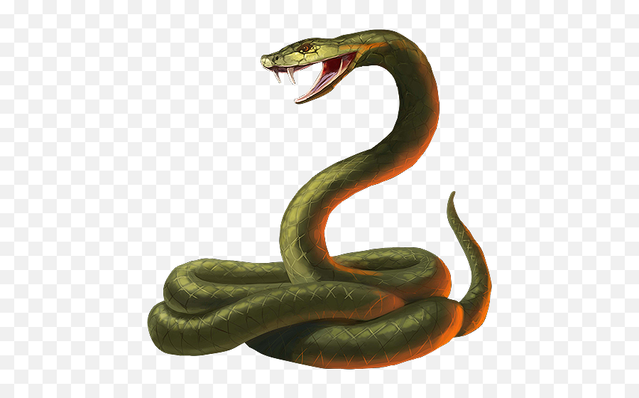 Snake Scale King Cobra - Transparent Png Snake Emoji,Snake Emoji Png