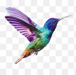 Sticker - Colibrí En Punto De Cruz Emoji,Pili Emoji