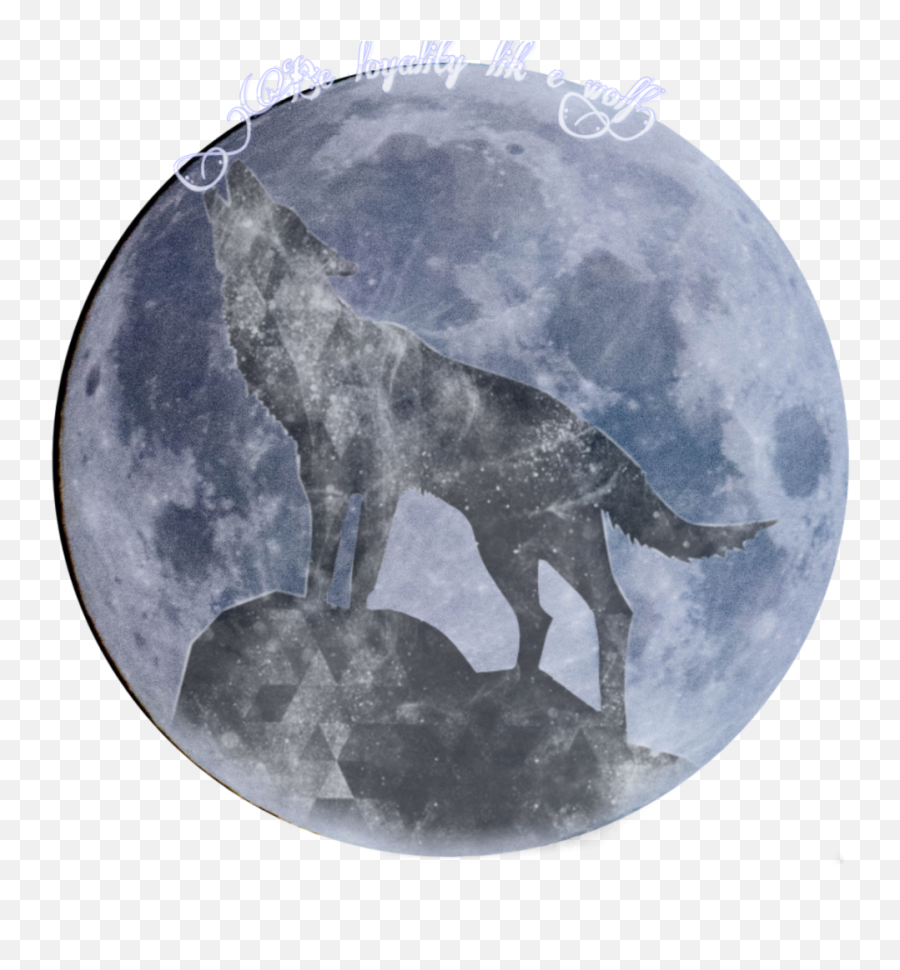 Loyality Sticker Emoji,Moon Love Fox Emoji