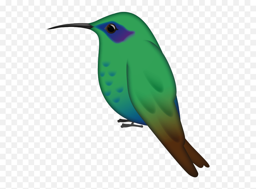 The Best 9 Bird Emoticon Copy And Paste - Hummingbird Emoji,Dove Bird Emojis