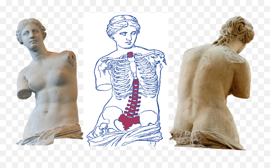 Cureus Does The Venus De Milo Have A Spinal Deformity Emoji,Facial Assymtry Of Emotion