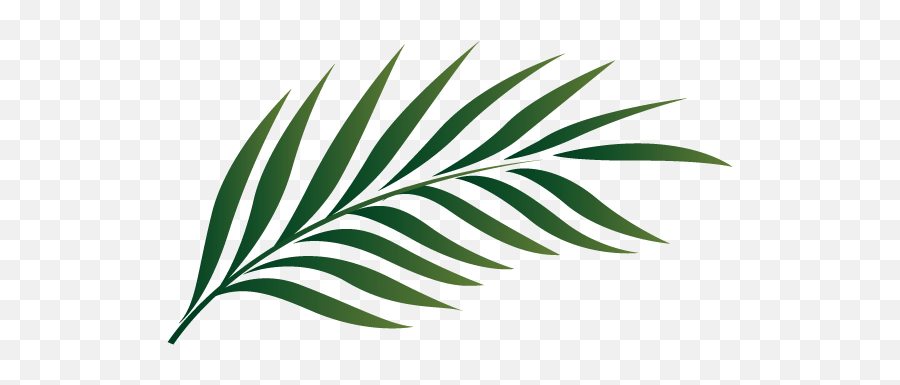 Palm Sunday Leaf Clipart Kid - Transparent Tropical Leaves Clipart Emoji,Palm Sunday Emoji