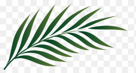 Palm Sunday Leaf Clipart Kid - Transparent Tropical Leaves Clipart Emoji,Palm Sunday Emoji