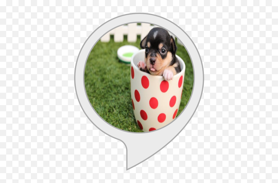 Alexa Skills - Köpek Bardakta Duvar Katlar Emoji,Growling Puppy Emoji