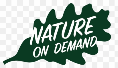 Nature On Demand With The Sblc - Home Emoji,Nature& Emotions