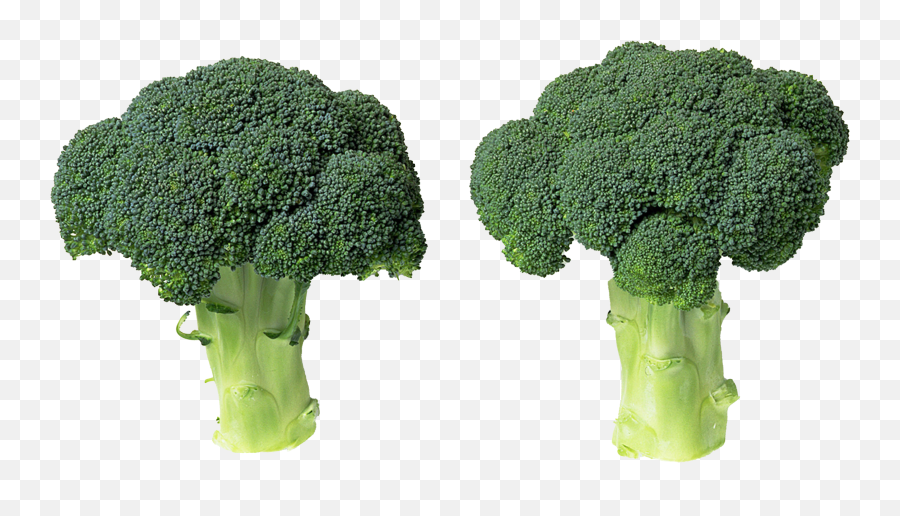 Fichier De Brocoli Vert Png Mart Emoji,Brocoli Emoji