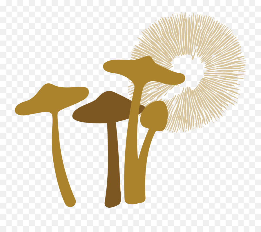 Products U2013 Ceremony Mushroom Usa Emoji,Do Vegans Use The Seedling Emoji