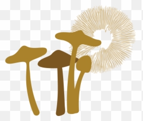 Products U2013 Ceremony Mushroom Usa Emoji,Do Vegans Use The Seedling Emoji