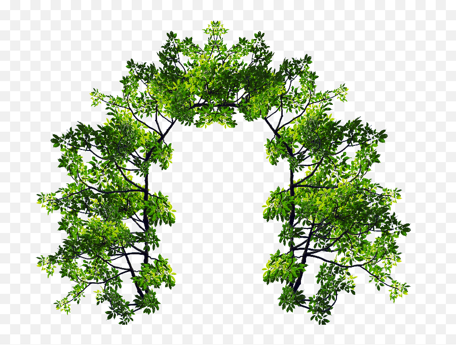 Arch With Green Leaves And Tree Branches Png Image Nature - Tree Arch Png Emoji,Green Leaf Emoji