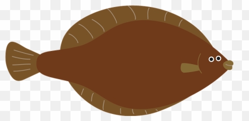 Right Eye Flounder - Food Emoji,Flat Eye Emoji