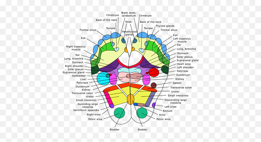 Reflexology U2013 Reflex4feet - Reflexology Left And Right Foot Emoji,Meridian Emotions Chart