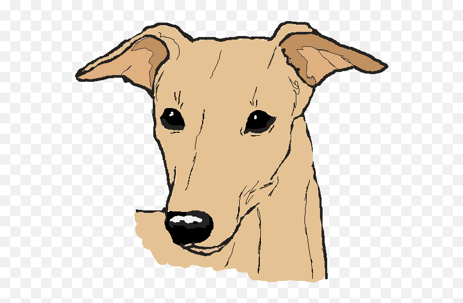 56 Awesome Whippet Clipart - Martingale Emoji,Greyhound Emoji