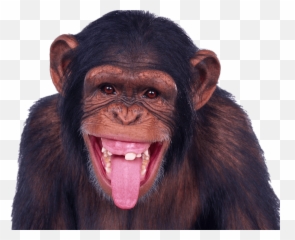Png Stick Out Tongue U0026 Free Stick Out Tonguepng Transparent - Free Monkey Emoji,Tongue Sticking Out Emoji
