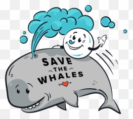 Bubble Down Express Car Wash Of Tampa - Happy Emoji,Buff Whale Emoticon