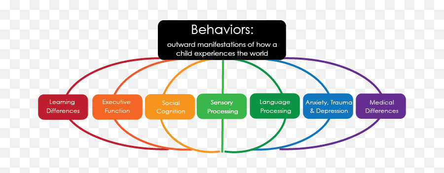 A Trauma - Social Cognition Executive Function Emoji,Emotions Of Behavior Management Journal