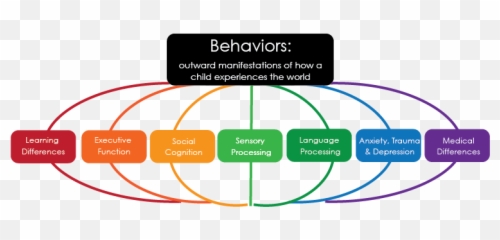 A Trauma - Social Cognition Executive Function Emoji,Emotions Of Behavior Management Journal