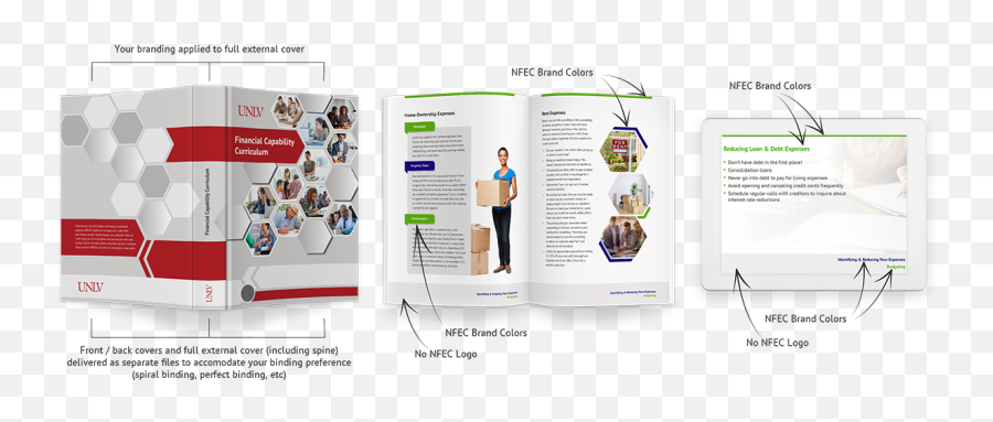 Financial Literacy Curriculum Comprehensive All Ages Nfec - Vertical Emoji,Relationship With And/or Emotions Around Financial Matters Symbols