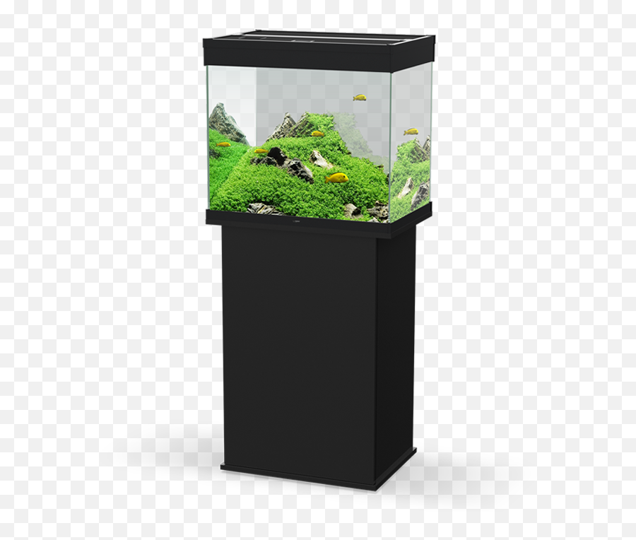 Ciano Emotions Pro 60 At Lynwood Aquatics - Artificial Aquarium Plant Emoji,Fish Emotions