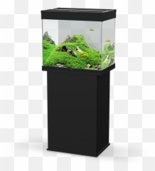 Ciano Emotions Pro 60 At Lynwood Aquatics - Artificial Aquarium Plant Emoji,Fish Emotions