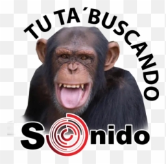 Hola Tuuuuu Stickers For Whatsapp - Photo Caption Emoji,Hola Emoji