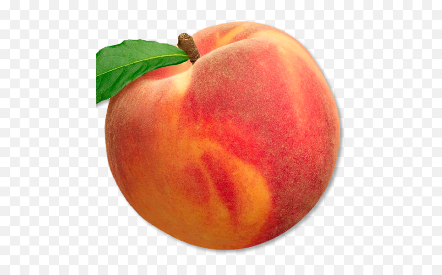 Kelly Robson U2013 Science Fiction Fantasy Horror - Peach Fruit Emoji,How To Put A Peach Emoticon In A Picture