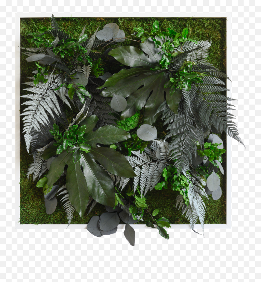 Jungle Square Plant And Moss Wall Art - Stylegreen Emoji,Plants As Emotions Art